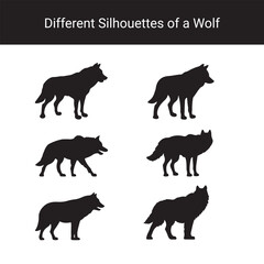 Obraz premium Set of Black Wolf Silhouettes in Different Poses – Vector Animal Icons on White Background
