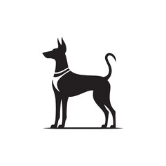 Pharaoh Hound silhouette showcases sleek, elegant lines of this ancient breed, highlighting its athletic build, pointed ears, graceful posture, alert expression, and noble desert heritage.
