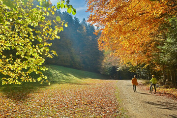 Tourists enjoying the vibrant autumn atmosphere, hiking and mountain biking through a beautiful forest.