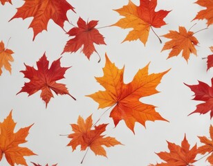 Vibrant red and orange maple leaves falling against a pure white backdrop ,  branch,  tree,  october