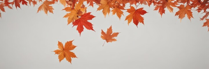 Fototapeta premium Crisp, vibrant red and orange maple leaves falling against a pure white backdrop , close up, garden, macro