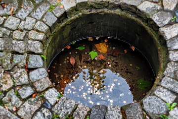 A small well with coins in a garden