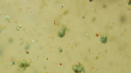 Murky Water with Floating Organisms and Plant Debris in Swamp-like Environmen