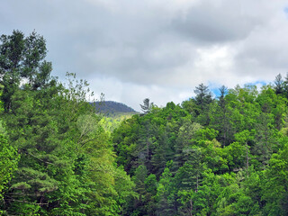 Great Smoky Mountains, North Carolina, USA