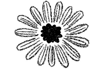 Daisy Flower Crayon Drawing Hand Drawn Floral Sketch Doodle Paint Vector Black Spring Ink Line Nature Graphic