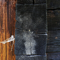 Fototapeta premium drewno