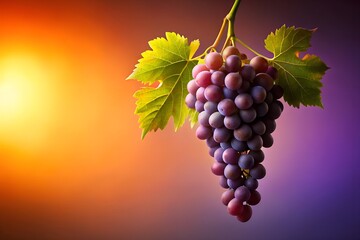 Artistic Grape Bunch Silhouette on Gradient