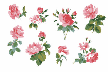 Vintage Rustic Roses Vector Illustration Set � Hand-Drawn Watercolor Flower Collection for Wedding Designs