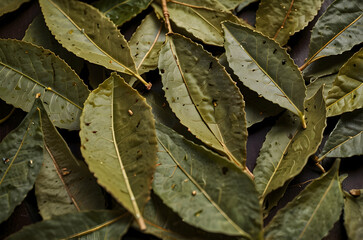 Dried Bay Leaves Macro