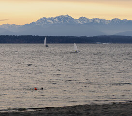View of active Puget Sound area, including sailboats and snorkeler, with Olympic Mountains in...