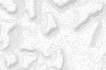 Topographic Line Contour Map with Geographic Grid Background Vector