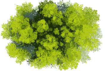 Abstract Watercolor Tree Top View Vector Isolated for Landscape Plan Architecture Garden Environment Elements Blossom Grass Flower Blooming © John