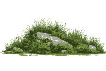 Watercolor Grass with Rock Vector for Landscape Architecture Garden Environment Botanical Section Meadows Moss Green Area Elements