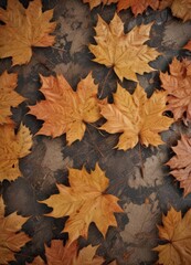 Close-up of fallen maple leaves, showing intricate vein detail,  stock photo,  background,  outdoor