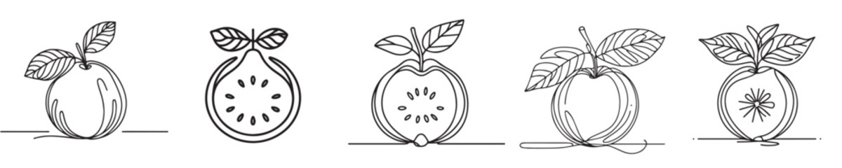 guava fruit vector continuous line style
