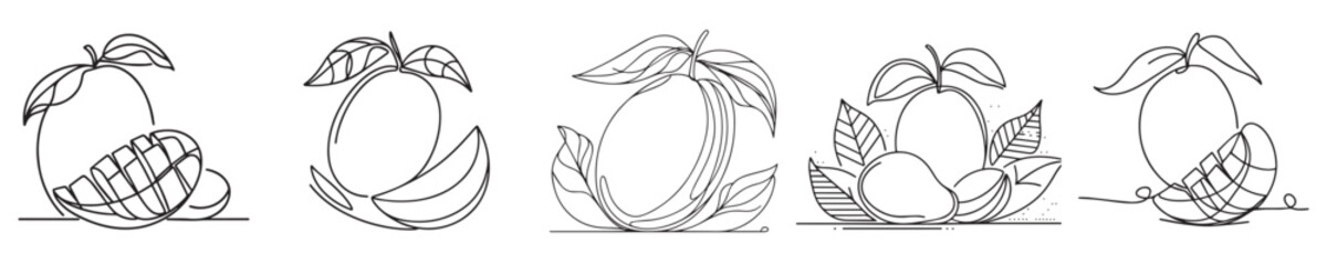 mango fruit vector continuous line style