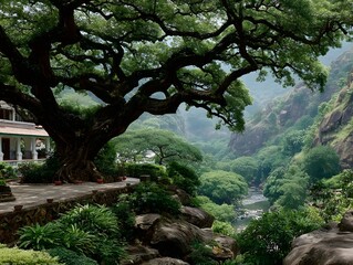 Fototapeta premium Ancient Tree and Scenic Landscape: A majestic, sprawling tree, its branches reaching across the frame, dominates a verdant landscape featuring a winding river and lush mountains.
