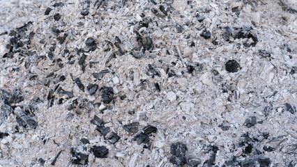 Close-up view of a pile of white and black wood ash with charcoal remnants, showing rough texture and natural patterns after combustion.
