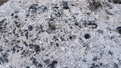 Close-up view of a pile of white and black wood ash with charcoal remnants, showing rough texture and natural patterns after combustion.