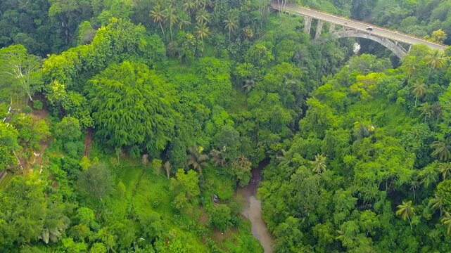 Drone shows Tukad Bangkung Bridge, an engineering marvel in Bali. It's a 360-meter long and 9.6-meter wide bridge, surrounded by lush rainforest.
