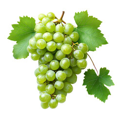 Fresh green grapes with vibrant leaves against a bright white background showcasing natural beauty and freshness, bunch green grapes with a leaf on a white background