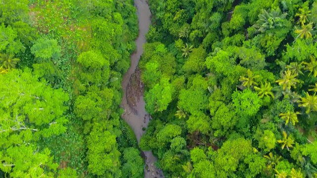 Drone shows a rainforest river system surrounded by thick greenery in Bali, part of Indonesia&rsquo;s rich equatorial ecosystem.