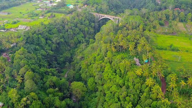Drone captures the Jembatan Tukad Bangkung Bridge, 360 meters long and 9.6 meters wide, offering a dramatic view of rainforest valleys in Bali.