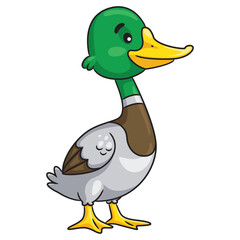 Cartoon green headed duck.eps