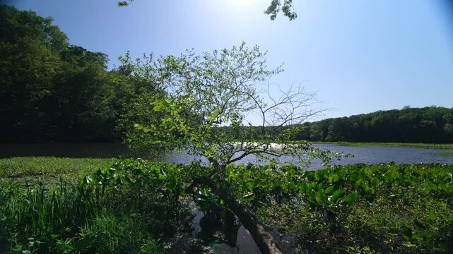 Pocahontas State Park