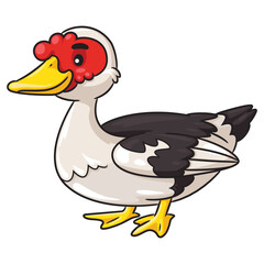 Muscovy duck cartoon.eps