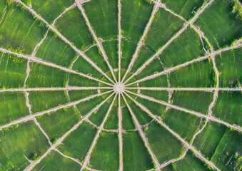 Aerial view of a radial green field pattern