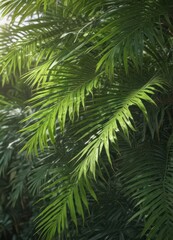 Fototapeta premium Vibrant green palm fronds, sunlight dappled, intricate leaf veins , palm, palm leaf