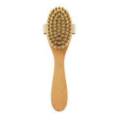 Wooden body brush with bristles isolated transparent