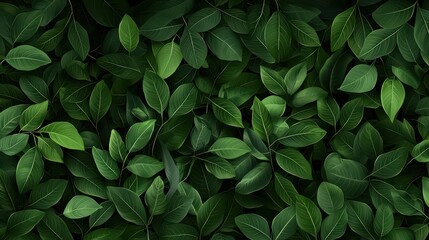 Lush Green Leaves Background Texture for Natural Design Projects and Eco-Friendly Themes