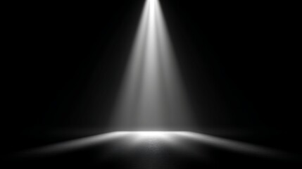 Digital Image: Spotlight on Dark Surface