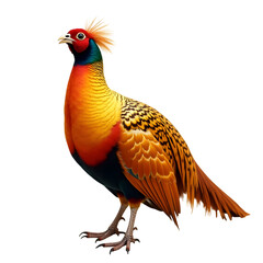 Captivating Golden Pheasant Portrait, A Symphony of Vibrant Colors and Iridescent Plumage Unveiled in Exquisite Detail