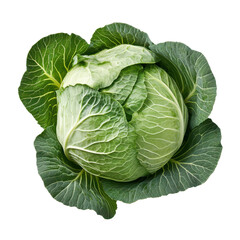 Obraz premium Fresh green cabbage isolated on a white background showcasing its vibrant leaves and natural texture, Green cabbageisolated on white background