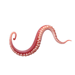 Captivating single octopus tentacle with glistening texture against a neutral setting, exhibiting vibrant colors and detailed suckers