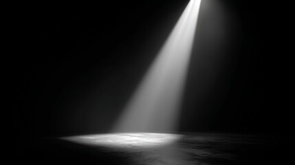 Spotlight on Dark Floor