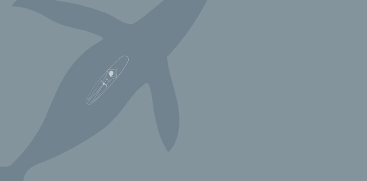 woman serfing in ocean with whale