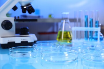 Petri dishes with samples on table in laboratory