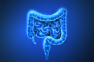 Abstract isolated wireframe intestinal human digestive system. Gut health, bowel disease, gastrointestinal tract.
