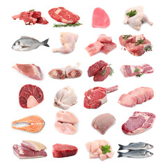 Fish and meat. Different fresh raw products on white background, collage
