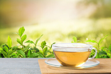Cup of green tea on wooden table in tea plantation. Space for text