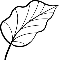 Simple Side Leaning Leaf with Curved Vein in Line Art