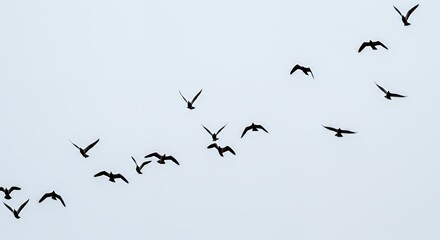 Diagonal Formation Of Birds Flying Silhouette Against Pale Sky Conveying Freedom Migration Wildlife And Nature