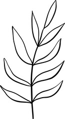 Fan Shaped Ginkgo Leaf in Minimal Hand Drawn Style