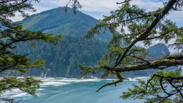 4K footage shows a breathtaking view of Oregon&rsquo;s coast in Oswald West State Park, with evergreen forests stretching to the edge of the Pacific Ocean.
