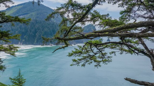 Aerial footage from Oswald West State Park on Oregon&rsquo;s coast shows dramatic cliffs, dense forest, and the vast Pacific Ocean meeting rugged terrain.