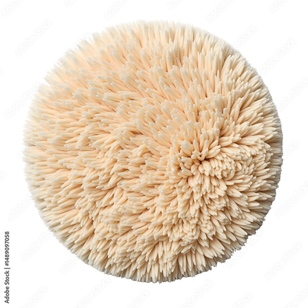 Poster close-up of a unique circular carpet showcasing its plush texture and inviting softness in a neutral